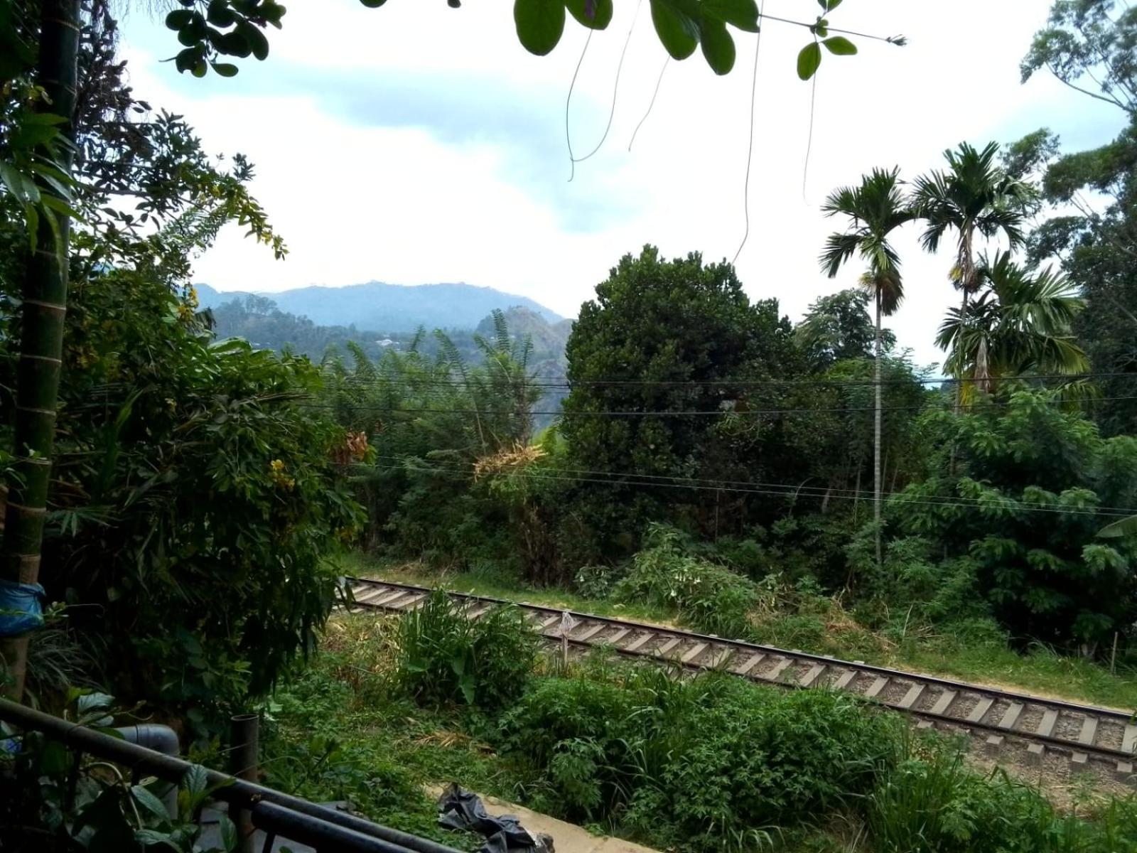 Charming View Homestay Ела Екстериор снимка