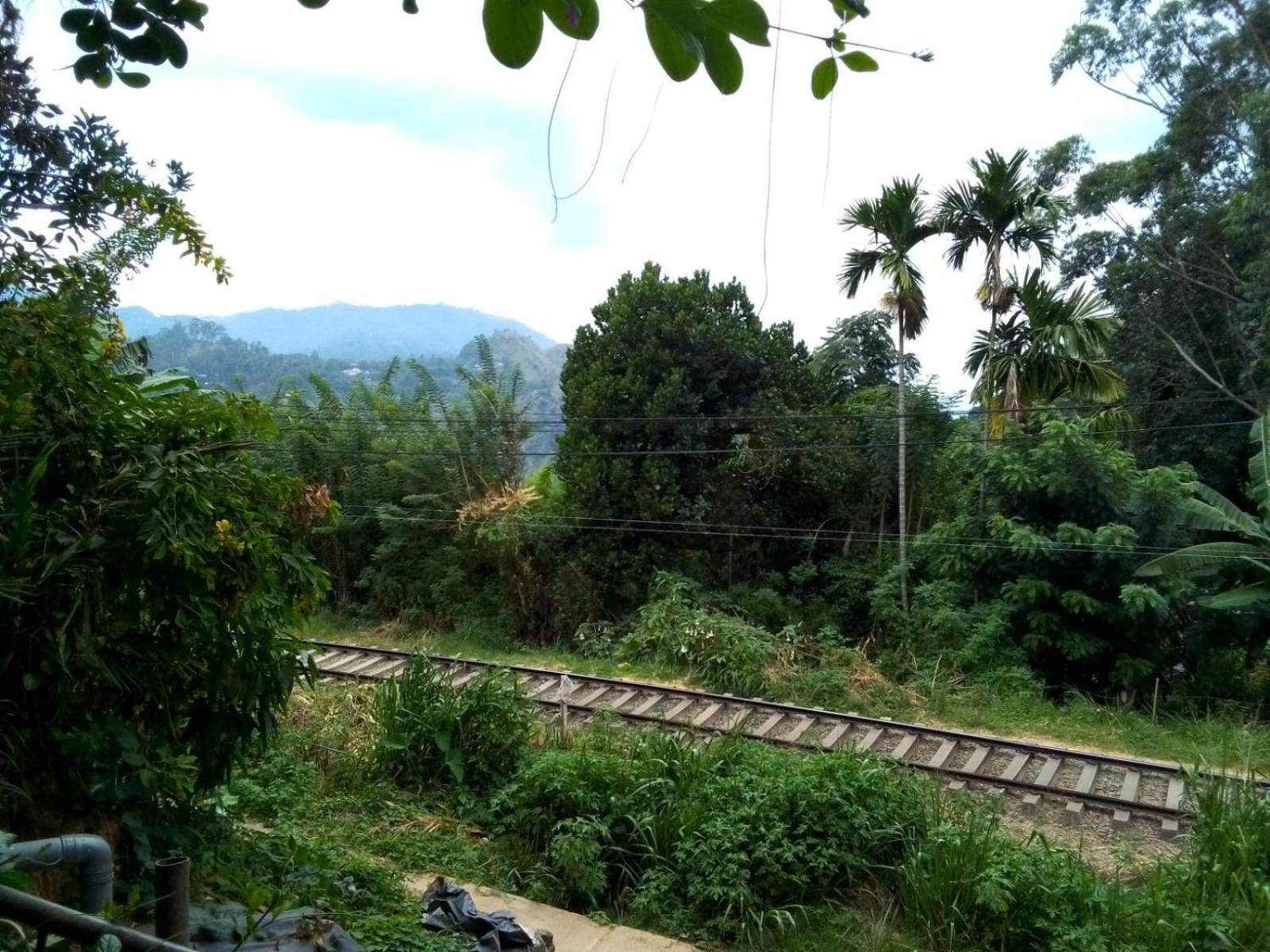 Charming View Homestay Ела Екстериор снимка