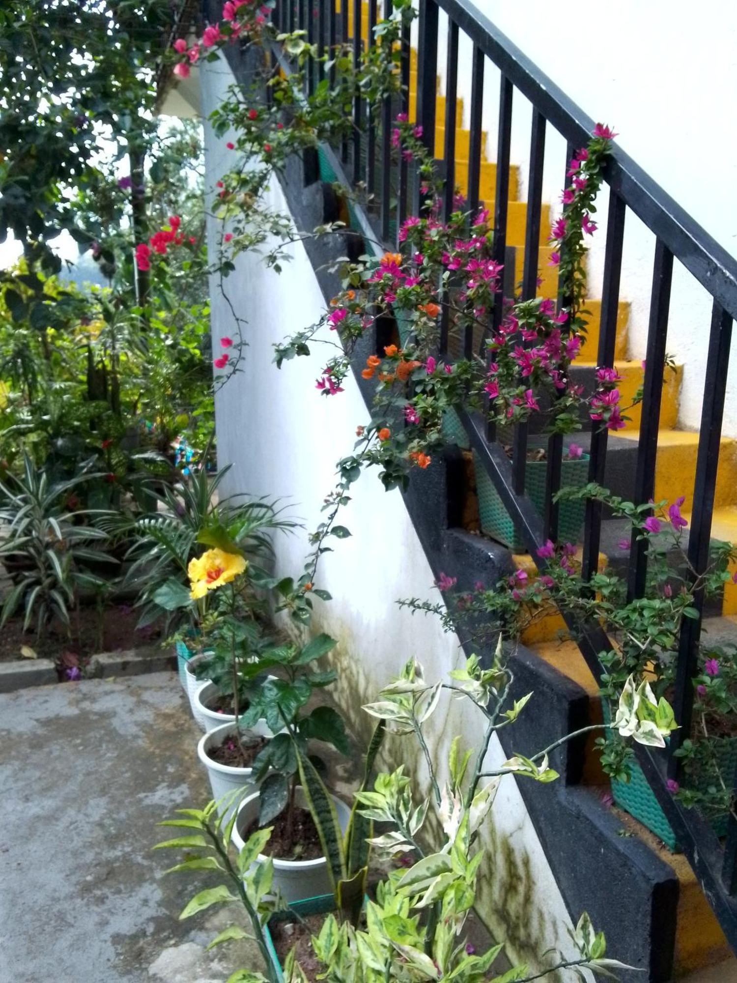 Charming View Homestay Ела Екстериор снимка